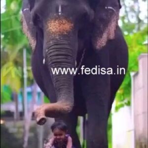 Wood carving cnc wood carving wood sculpture Model No - 1862